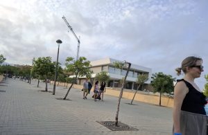 2025-passejada-08